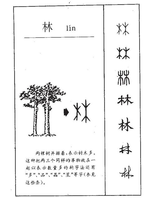 林的意思名字|林字取名男孩有寓意 林字搭配取名含义最好的名字